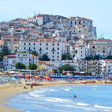 Hotel Alba Living